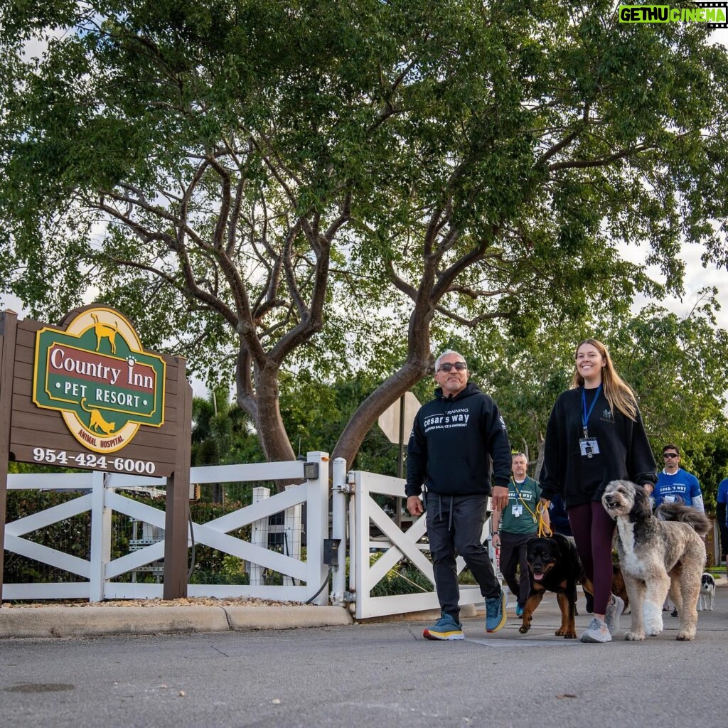 Cesar Millan Instagram - I cannot tell you how much I appreciate this moments 🙏 Gracias!!! Together, changing the world #BetterHumansBetterPlanet #TrainingCesarsWay