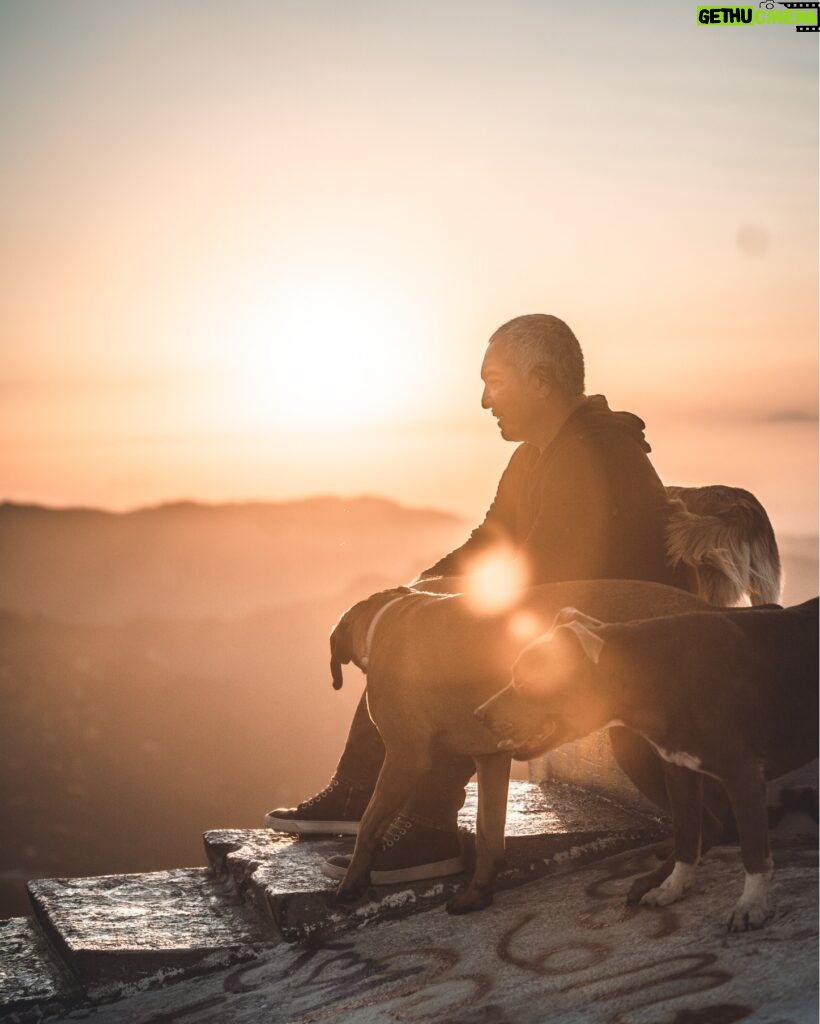 Cesar Millan Instagram - Blessed to enjoy days in the desert ☀ Today, what are you grateful for in your life? . . . Bendecido por disfrutar días en el desierto ☀ Hoy, de qué estás agradecido en tu vida?