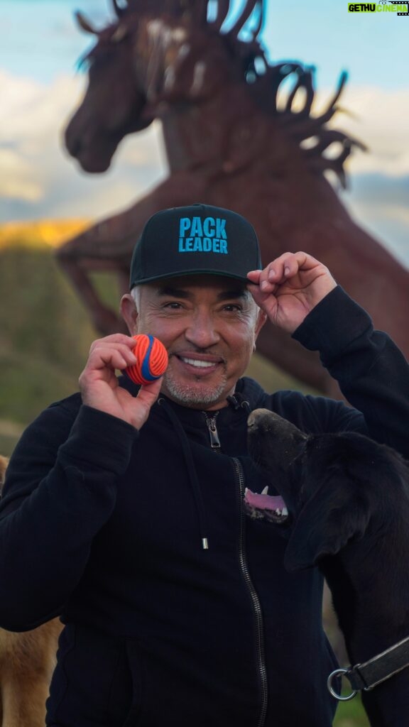 Cesar Millan Instagram - World! Becoming a pack leader has been my life’s journey. I am very proud to share with you all that my new merchandise is now live! 🌎 My grandpa taught me “‘Never work against Mother Nature. You must earn her trust and respect, and she will give you a beautiful gift called loyalty.’” ❤ We are the Pack Leaders. OUR PACK LEADER HAT IS NOW AVAILABLE. Visit our website to get yours today. #betterhumansbetterplanet
