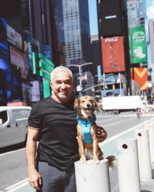 Cesar Millan Thumbnail - 17K Likes - Top Liked Instagram Posts and Photos