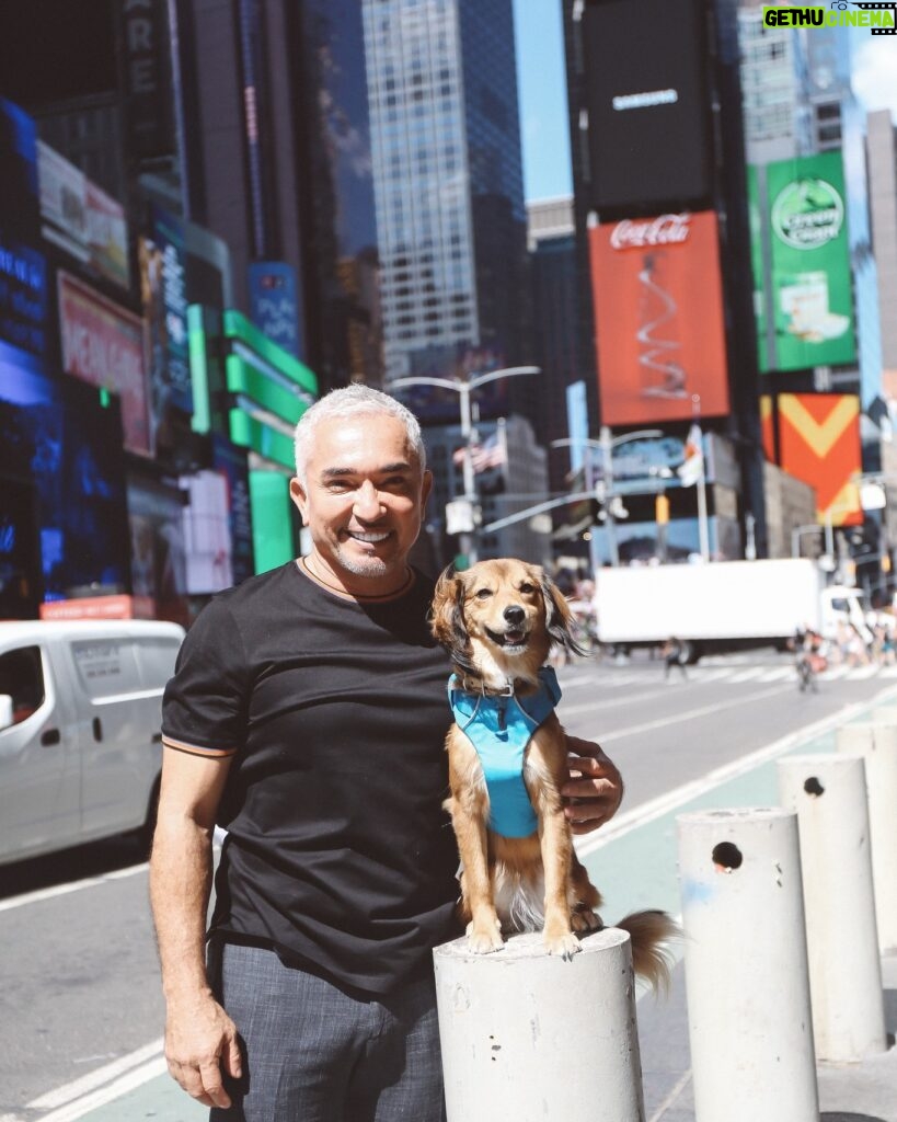 Cesar Millan Instagram - 🗽 New York in 2019 with Sophia! . . . 🗽 New York en 2019 con Sophia!