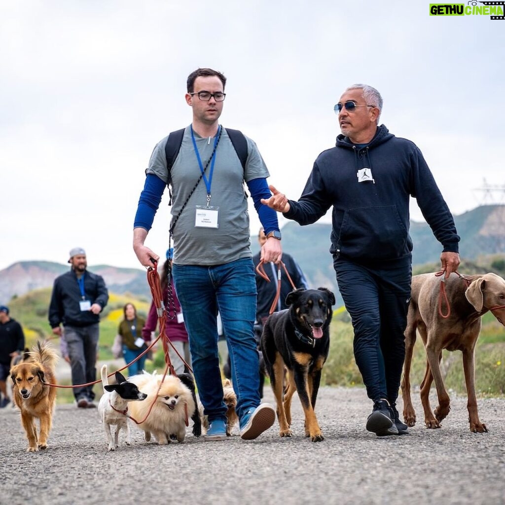 Cesar Millan Instagram - TCW Testimonial - James 📚 “I cannot put into words the ways in which Cesar and his entire team at TCW have left their imprint on my life. Before the programme, I was lost and frustrated, feeling like the more I learned about ‘dog training’, the more I felt that I was losing my connection to dogs and the reason I wanted to work with them in the first place. I knew that if anyone would have the answers to my professional struggles it was going to be Cesar, but I could never have known how much I would learn about myself - my own issues, my battles, my weaknesses - and discover my gifts, my personality, and my strengths.    For the people that really commit to the programme, every day is like a gut punch of emotion and self-discovery. I have never laughed so much, cried so hard, or healed the wounds I didn’t know I had - and I know I am far from alone in that. I felt so much genuine care from everyone around me, surrounded by so many people turning up authentically, as human beings and their dogs.    I learned more in two weeks about myself, about dogs and about others than in years of all my other professional development - and the knock-on impact for my clients and their dogs back in the UK has been incredible. I can read dogs more clearly than ever, diagnose the issues that other local professionals miss, and I’m pushing the quality of my training well beyond what I offered before.    Cesar - I know that you will understand the value of these words more than most. You taught me to love myself for who I am, instead of trying to find it in others. And even though it’s not always easy, to give myself that love every day if I want to be able to best help other people through their dogs.” Visit our website (cesarmillan.com) to secure your spot and experience the magic of Training Cesar’s Way! ✨ #trainingcesarsway