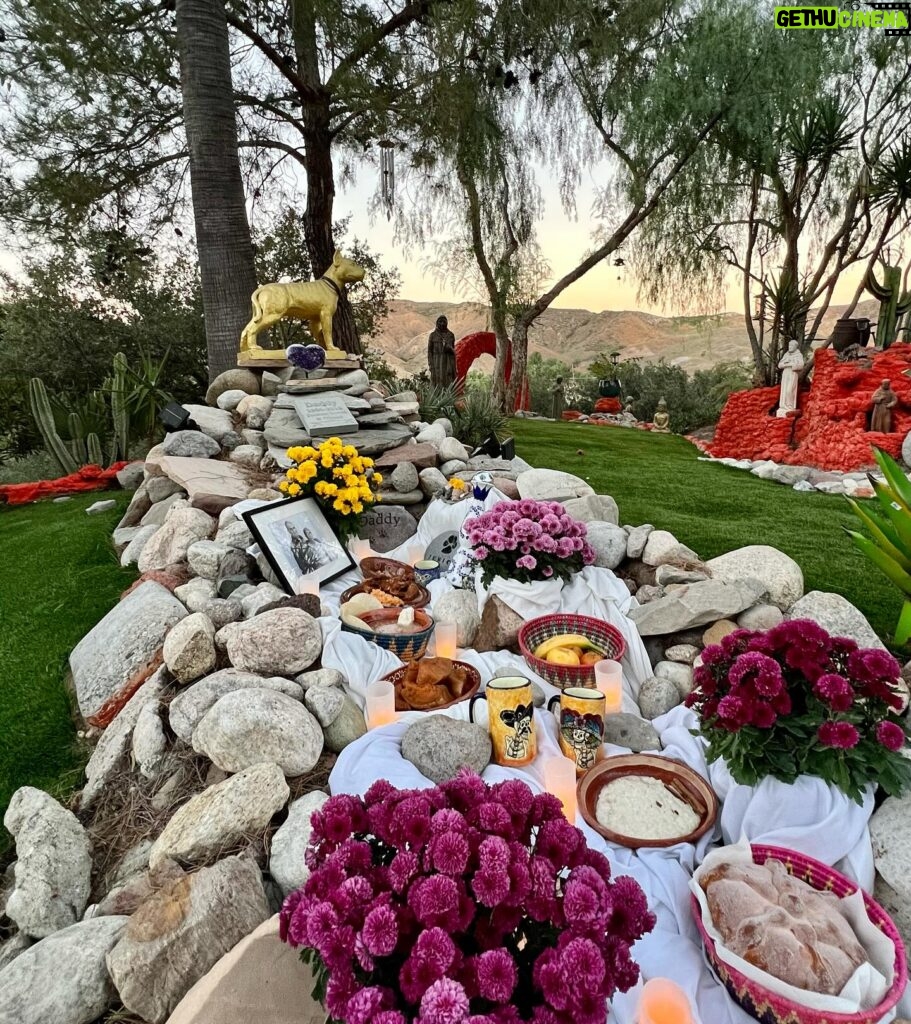 Cesar Millan Instagram - Our Day of the Dead Altar ❤️ Honoring my grandparents, Daddy and Junior —— Altar del día de muertos Cesar recordando a sus abuelos, Daddy y Junior #diadelosmuertos #betterhumansbetterplanet