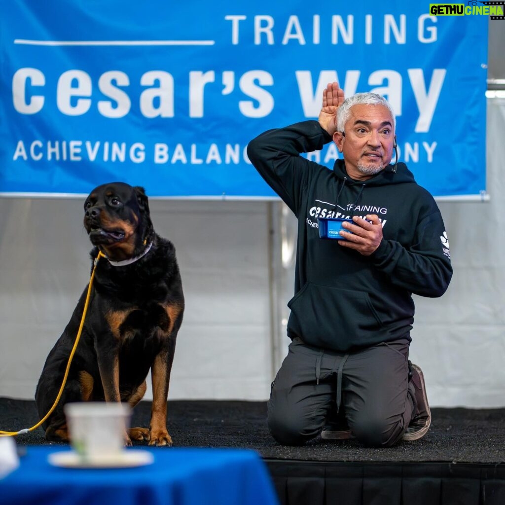 Cesar Millan Instagram - I cannot tell you how much I appreciate this moments 🙏 Gracias!!! Together, changing the world #BetterHumansBetterPlanet #TrainingCesarsWay