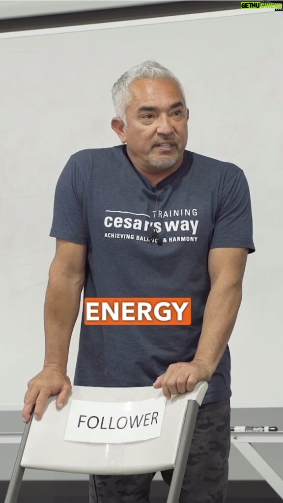 Cesar Millan Instagram - Unlock the power of your energy 🔓 Join us at Training Cesar’s Way and learn firsthand how your energy shapes your relationship with animals. Don’t miss out on this transformative experience! Limited seats available. Reserve yours today by clicking the link in my bio. #trainingcesarsway