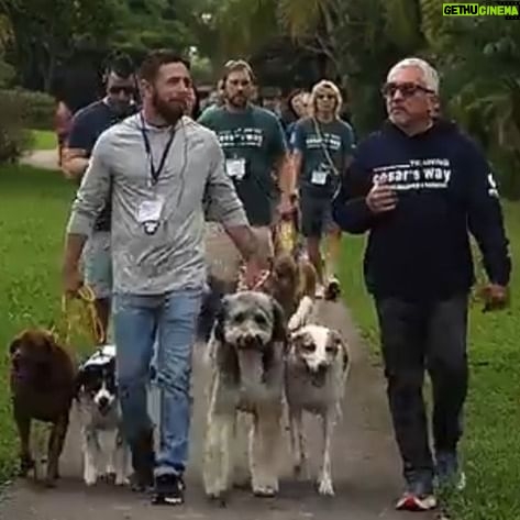 Cesar Millan Instagram - RELAX!!! Dog Parks are the best as long as we go in there with the right energy 🙌 We practice that today at the #TrainingCesarsWay Florida 2023 #BetterHumansBetterPlanet