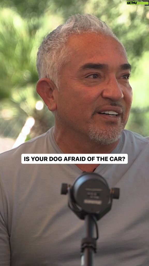 Cesar Millan Instagram - Is your dog afraid of the car before you go to the vet? 🚙 Remember it is important to remember how and what you associate your dog with! #dogtraining #dog #betterhumansbetterplanet