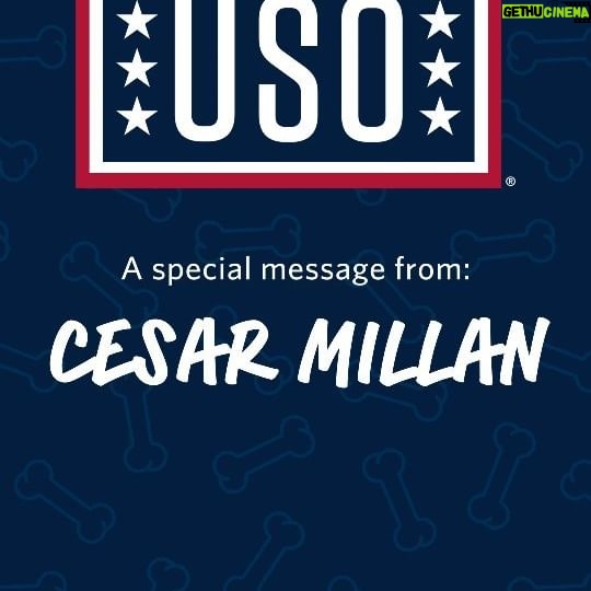 Cesar Millan Instagram - Huge thank you to Cesar Millan @cesarsway for helping us announce the 2023 USO Canine Volunteer of the Year! 🐾 Whether it’s offering a helpful paw or a listening ear, USO Canine Volunteers play an important role in strengthening the well-being of service members and their families. The USO understands the strong bond between humans and animals and the critical roles a dog can play within the military community to help address mental, emotional, and physical needs. The USO Canine Program includes therapy dogs, family pets, and military working dog programs. Interacting with therapy dogs can reduce stress and provide a unique morale boost for service members and their families! Congratulations and a big thank you to all our USO Canine Volunteers! Find out more about our furry friends at uso.org/canine #theUSO