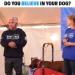Cesar Millan Instagram – Training Tip Tuesday – Do you believe in your dog? 🐕 

It is important to believe in your dog, to lead your dog, and to love at the right time.

Learn more about Cesar’s natural, simple, and profound approach at our Training Cesar’s Way Fundamentals Workshops!

#trainingtiptuesday #dogtraining #dog