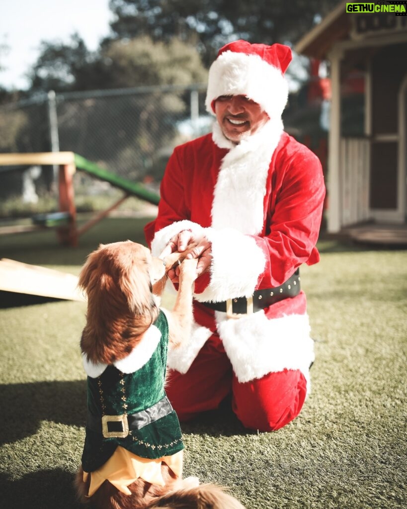 Cesar Millan Instagram - Trust - Respect - Love... And of course tons of fun!!! Who else is getting ready for the holidays??? 🎅🐶 . . . Confianza - Respeto - Amor... Y por supuesto mucha diversión!!! Quién más se está preparando para las vacaciones??? 🎅🐶