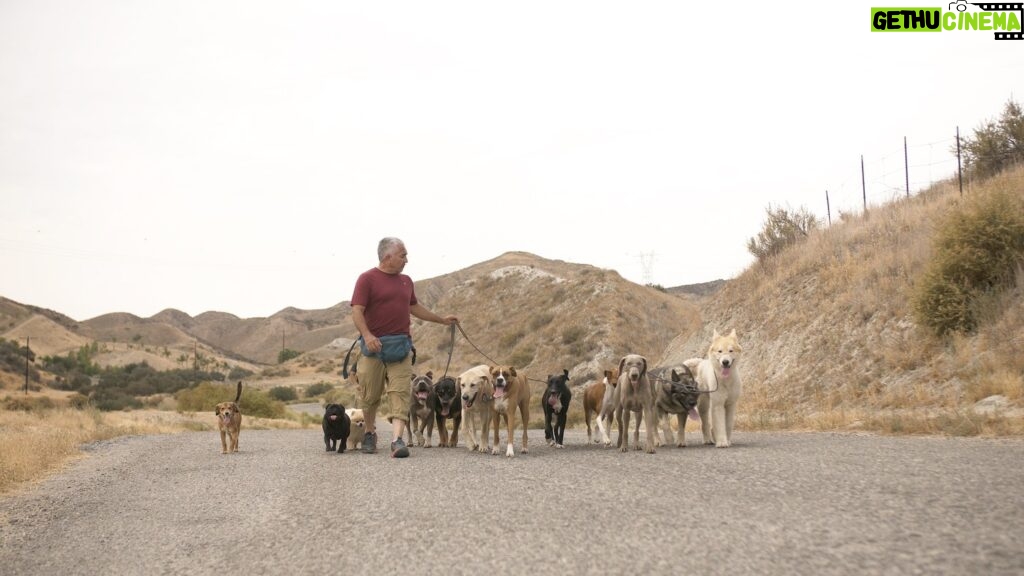 Cesar Millan Instagram - National Walk Your Dog Day 🐕 One of the best ways to love your dog is to take them for a LONG walk. Remember it is exercise, discipline, and affection. Where are you going for your walk today? #betterhumansbetterplanet • • • Día Nacional de Pasear a tu Perro 🐕 Una de las mejores maneras de amar a tu perro es llevarlo a dar un LARGO paseo. Recuerda que es: Ejercicio, disciplina y cariño. ¿Adónde vas a caminar hoy? #mejoreshumanosmejorplaneta