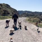 Cesar Millan Instagram – Experience the Magic of the Ranch at Training Cesar’s Way! ✨

Join us on our pack walks, meet the animals, ask me your questions, and learn directly from me on how we can become better humans for our dogs. ❤️

Secure your spot on my website in my bio 🔗

#betterhumansbetterplanet