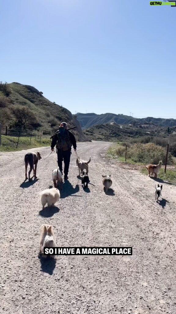 Cesar Millan Instagram - Experience the Magic of the Ranch at Training Cesar’s Way! ✨ Join us on our pack walks, meet the animals, ask me your questions, and learn directly from me on how we can become better humans for our dogs. ❤ Secure your spot on my website in my bio 🔗 #betterhumansbetterplanet