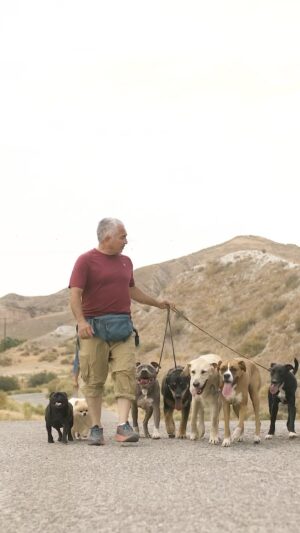 Cesar Millan Thumbnail - 11.2K Likes - Top Liked Instagram Posts and Photos