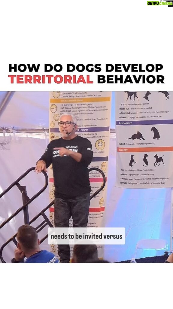 Cesar Millan Instagram - How do dogs develop territorial behavior? ❗️❗️ Remember they need to be INVITED vs. INVADED. 🐕 Learn more @trainingcesarsway #dog #dogtraining #cesarmillan