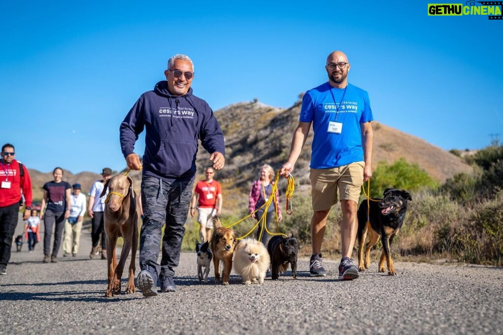 Cesar Millan Instagram - TRAINING CESAR’S WAY IS BACK AT THE RANCH 🎉 We are so happy. The Pack is ready. ❤ Let’s get together to make this world a better planet by bettering the way we connect with our dogs. 🐕 Visit the Link in my bio to REGISTER! #trainingcesarsway #betterhumansbetterplanet