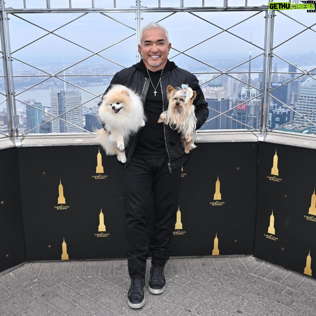 Cesar Millan Instagram - Shining tonight in partnership with the @cesarsway Foundation in honor of the Season Premiere of #betterhumanbetterdog