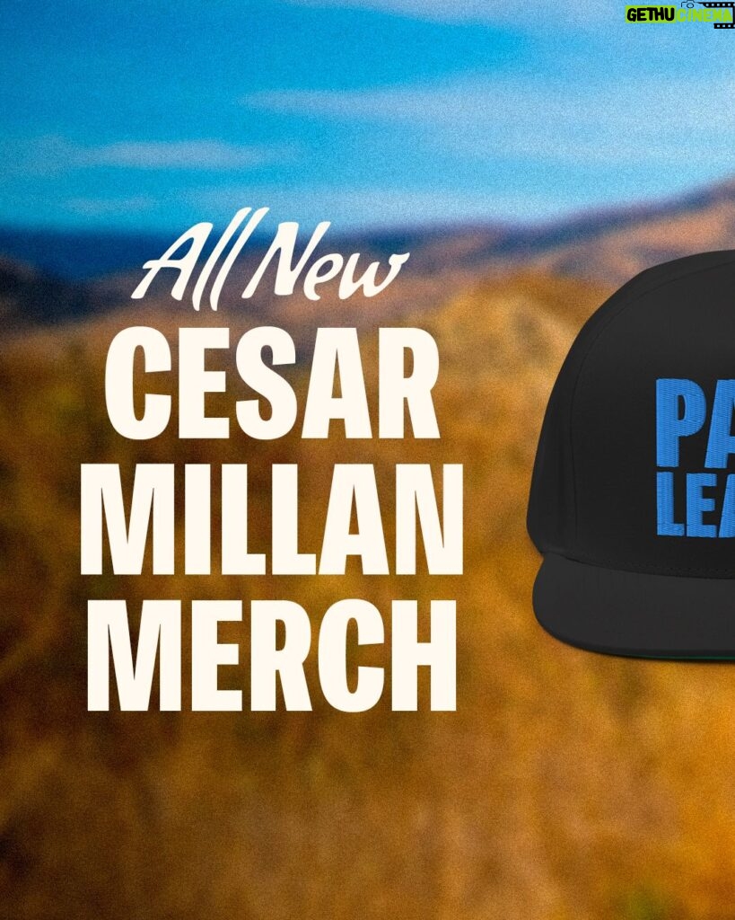 Cesar Millan Instagram - Proud and excited to share with you the ALL NEW CESAR MILLAN MERCH 🎉 Join me on our mission to make this world a better planet by bettering the way we as humans treat our animals ❤ Get yours today by visiting my website, cesarmillan.com Link in my bio! #betterhumansbetterplanet