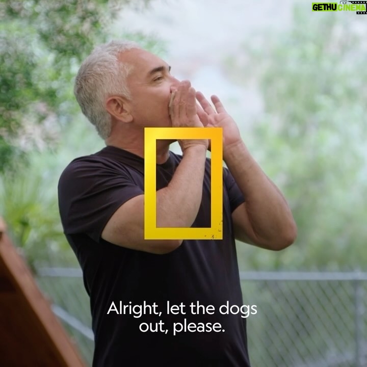 Cesar Millan Instagram - No matter the problem, every human and dog can learn to do better. Catch a new season of #BetterHumanBetterDog, premiering Friday, April 12 at 9/8c on @natgeotv Stream on @disneyplus and @hulu