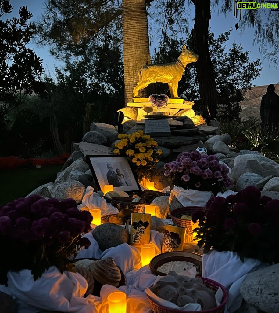 Cesar Millan Instagram - Our Day of the Dead Altar ❤️ Honoring my grandparents, Daddy and Junior —— Altar del día de muertos Cesar recordando a sus abuelos, Daddy y Junior #diadelosmuertos #betterhumansbetterplanet