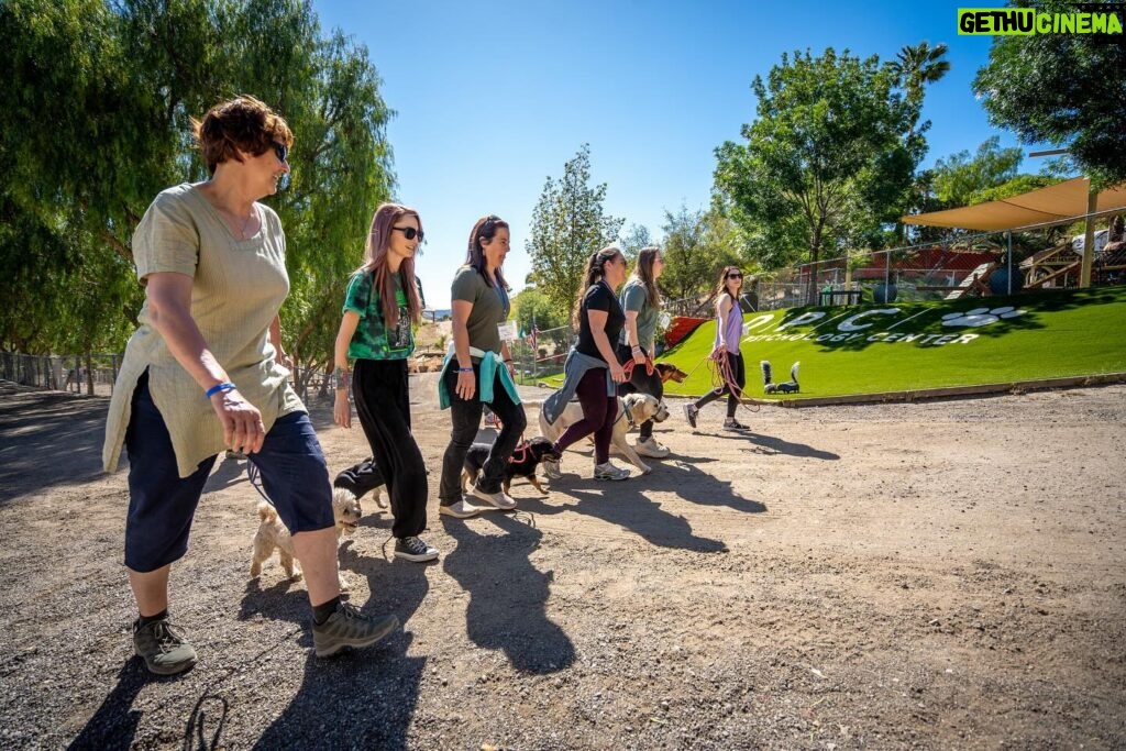 Cesar Millan Instagram - TRAINING CESAR’S WAY IS BACK AT THE RANCH 🎉 We are so happy. The Pack is ready. ❤ Let’s get together to make this world a better planet by bettering the way we connect with our dogs. 🐕 Visit the Link in my bio to REGISTER! #trainingcesarsway #betterhumansbetterplanet