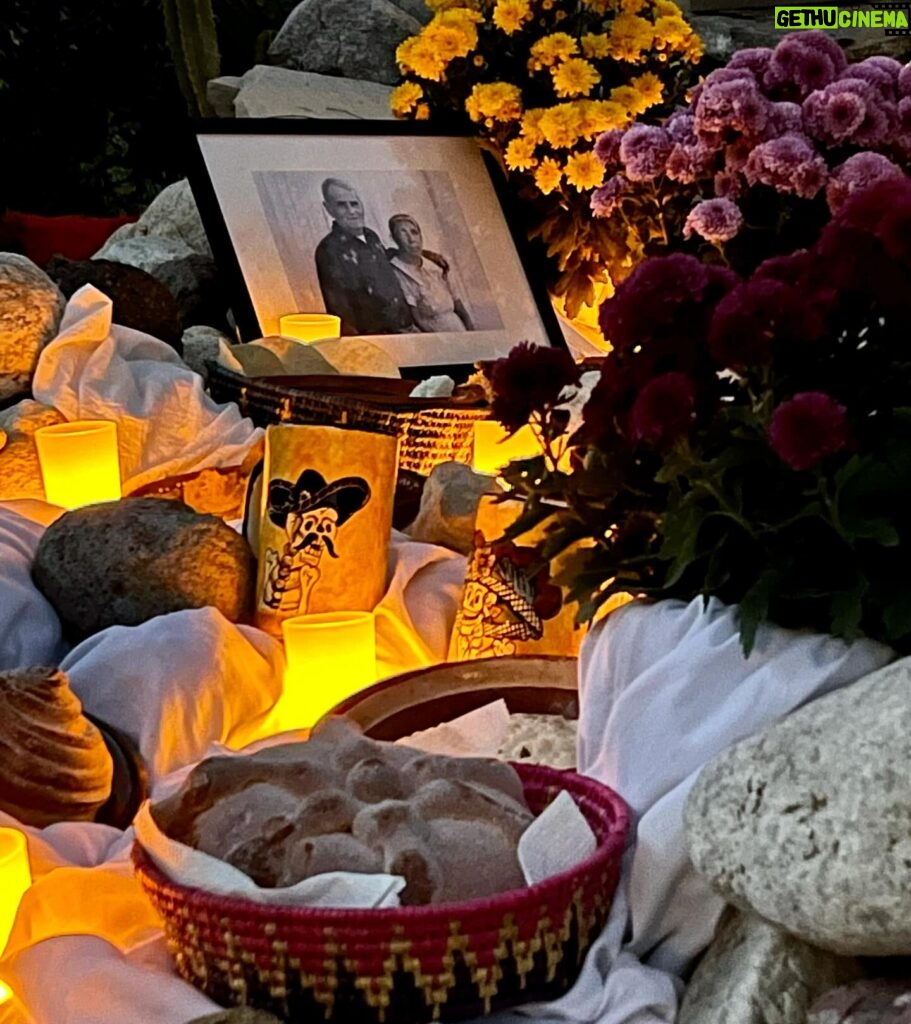 Cesar Millan Instagram - Our Day of the Dead Altar ❤️ Honoring my grandparents, Daddy and Junior —— Altar del día de muertos Cesar recordando a sus abuelos, Daddy y Junior #diadelosmuertos #betterhumansbetterplanet