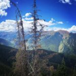 Chanel Mack Instagram - #aspen ride up to the top of the #mountains in my #favorite #cozyclothes from @aviatornation. Just ignore the second video in this slide. Don’t mind me sounding goofy and obnoxious as I’m falling down and laughing completely in the most unattractive way. The #views are all that matters here. Talk about #majestic #nature #labordayweekend #refresh #travel #happy #pretty #sightseeing #aviatornation