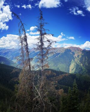 Chanel Mack Instagram - #aspen ride up to the top of the #mountains in my #favorite #cozyclothes from @aviatornation. Just ignore the second video in this slide. Don’t mind me sounding goofy and obnoxious as I’m falling down and laughing completely in the most unattractive way. The #views are all that matters here. Talk about #majestic #nature #labordayweekend #refresh #travel #happy #pretty #sightseeing #aviatornation