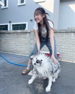 Charada Imraporn Instagram - วันวุ่นๆของ @tamagochan_husky 🐶 #chalalaandfriends