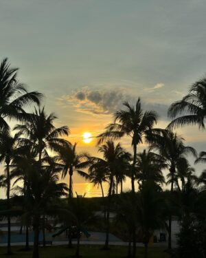 Charlotte Bobb Instagram - WELCOME TO MIAMI ☀️🇺🇸 mon sourire, sur absolument toutes les photos, en dit long 🥹 je suis tellement contente d’être ici en vacances avec mon papa mais vous allez voir que ce n’est pas tout… ok nous sommes à Miami mais ce n’est pas fini 🤩 TROP HÂTE 🤫
