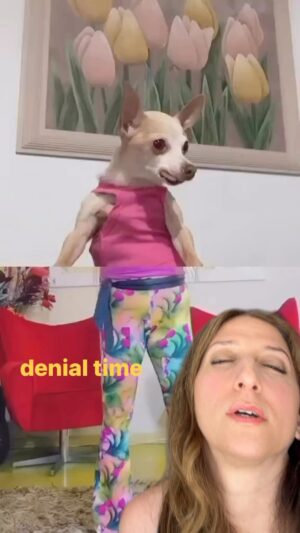 Chelsea Peretti Thumbnail - 15.7K Likes - Top Liked Instagram Posts and Photos