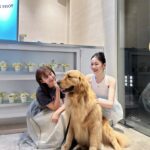 Chien Hung Instagram - 昨天的一日店長片段 🌼☀️ 活動在4/1 發報名表的時候好多人問 「是愚人節企劃嗎？😳」哈哈哈哈 謝謝所有報名參加的大家 也謝謝PAZZO用心佈景跟準備超多禮物 中獎機率超高很讚哈哈哈 立刻現場帶大家三泰民喊起來集氣 🔊 第二次的聯名從去年九月中開始討論 所以上線前一直很興奮 天氣轉熱接下來要來爆穿一波了 YA 🧡 #chienstyle #千175ootd @pazzo 🌸謝謝榆萱的影片好讚哈哈 ✨ 🌸謝謝PAZZO所有的工作人員跟銀針 ❤️‍🔥 #有正常版跟加長版可以挑選 #還沒逛的快去官網或門市看看🥰