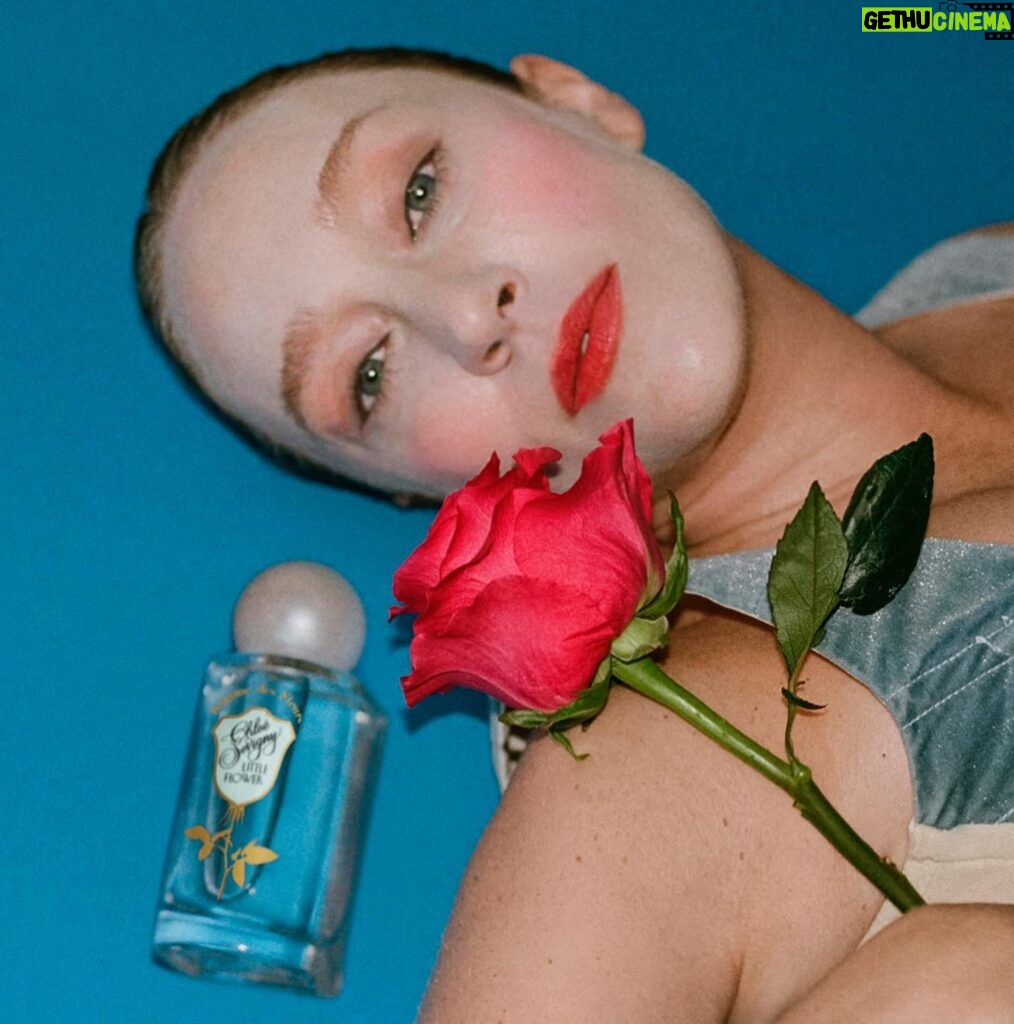 Chloë Sevigny Instagram - Calling all romantics! Is your sweetheart a fan of Little Flower? Are you? If so don’t miss your last chance for Little Flower Chocolates! An exquisite gift and a special indulgence - a box of four artisan chocolates inspired by our perfume, yours free with the purchase of Little Flower. Today and tomorrow only, while supplies last!
