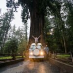 Chris Burkard Instagram - Growing up, California was mainly sunny beaches and coastal living to me - but as I got older and started to venture outside of my hometown of Arroyo grande, I started to realize that the State actually has a few really distinct ecosystems that captivated my attention. In 2017, I decided to take an 8 day road trip to dive deeper & spend some quality time climbing, surfing, and hiking to understand the diversity in a more immersive way. I jumped in an old VW bus, with some friends and made our way to Alabama Hills to climb and camp in the desert. After a couple of nights, we moved on to the forests at the foot of the Sierra Nevada… home to some of the biggest trees in the world and continued to the northern sections of coastline to surf colder waters bordered by wetter, lush forests. Even though I’ve spent a ton of time exploring California, I still love finding new details in these ecosystems and will keep exploring them as long as I can. Shot for @prana 2017