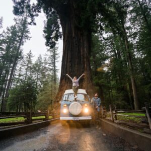 Chris Burkard Instagram - Growing up, California was mainly sunny beaches and coastal living to me - but as I got older and started to venture outside of my hometown of Arroyo grande, I started to realize that the State actually has a few really distinct ecosystems that captivated my attention. In 2017, I decided to take an 8 day road trip to dive deeper & spend some quality time climbing, surfing, and hiking to understand the diversity in a more immersive way.  I jumped in an old VW bus, with some friends and made our way to Alabama Hills to climb and camp in the desert. After a couple of nights, we moved on to the forests at the foot of the Sierra Nevada… home to some of the biggest trees in the world and continued to the northern sections of coastline to surf colder waters bordered by wetter, lush forests. Even though I’ve spent a ton of time exploring California, I still love finding new details in these ecosystems and will keep exploring them as long as I can. 

Shot for @prana 2017