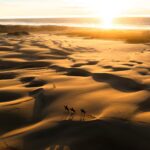Chris Burkard Instagram - Commonly recognized by scientists & conservationists as California’s most extensive stretch of coastal dunes, Oceano is a huge playground that I frequented a ton in my childhood and a place I love to shoot - due to the striking lines and shadows that appear on clear evenings. Just a couple of months ago, I invited a few special guests to the Central Coast to film Season 2 of the @sonyalpha First Take… a series of episodes showing off the beauty of my hometown paired with sharing the stories of each Sony Artisan and their photographic perspectives on landscapes I’ve captured for many years… we’re gearing up to share the first episode soon - stay tuned for the release !