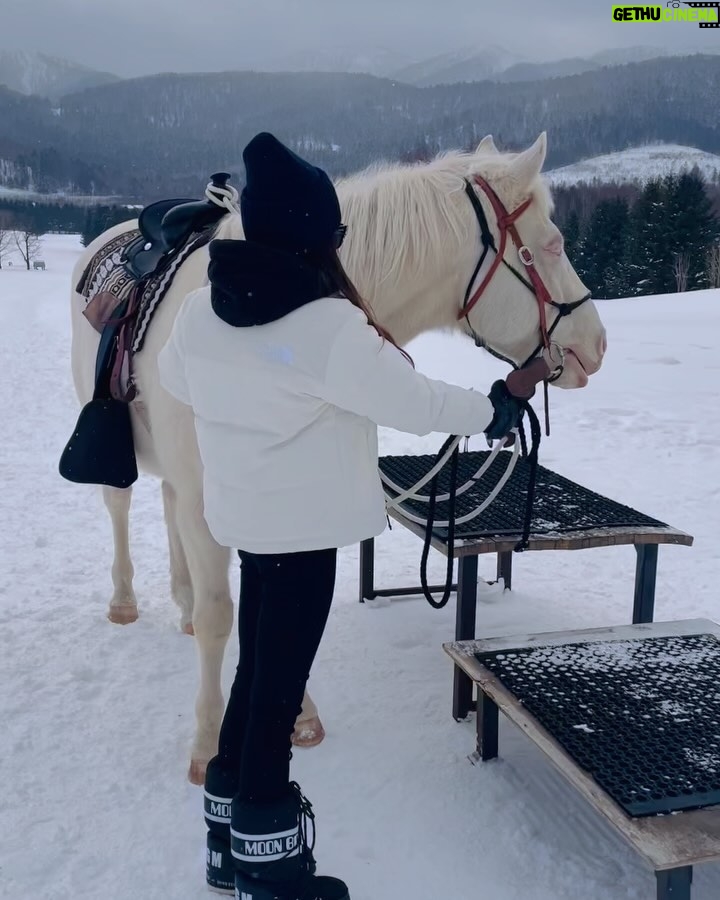 Chrissie Chau Instagram - 🤍☁️🐴🎠 #白馬 #白馬王子裝 #隻馬行咗兩步屙一大💩🤣 #天氣好好睇到雲海 #雲海好靚 #luckyday