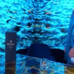 Christiane Endler Instagram - #Ad En este día y siempre. Por ti, Mamá #BlueLabel #DíadelaMadre @johnnie_walker_chile #Menoresniunagota
