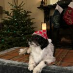 Christina Hendricks Instagram - More Irish activities with a little Scottish Buccaneers thrown in from last year.Triscuit, Anita came to Ireland!, @slowdiveofficial !, @alessandrarich in Paris!, Small town big story…