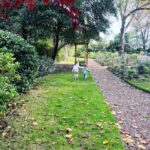 Christine Lampard Instagram – Autumn strolls 🍁 🍂