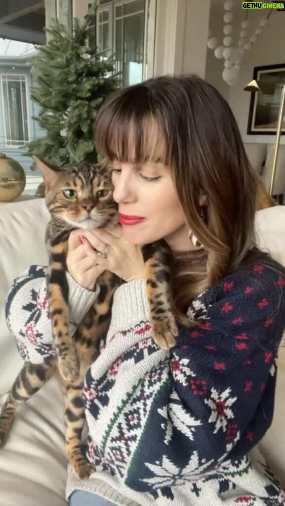 Christy Carlson Romano Instagram - The BEST pet presents are at @petsmart 😻 Check out my link in bio to shop! 🎄 #ad #makemerrymemories #petsmartpartner#anythingforpets