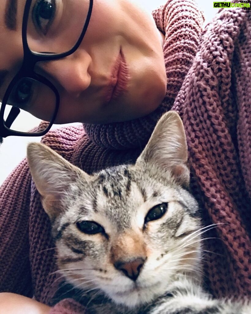 Chyler Leigh Instagram - Link’s gotta learn how to not crop Mommy out of his #selfie so much... #sharingiscaring #sundayfunday #meow
