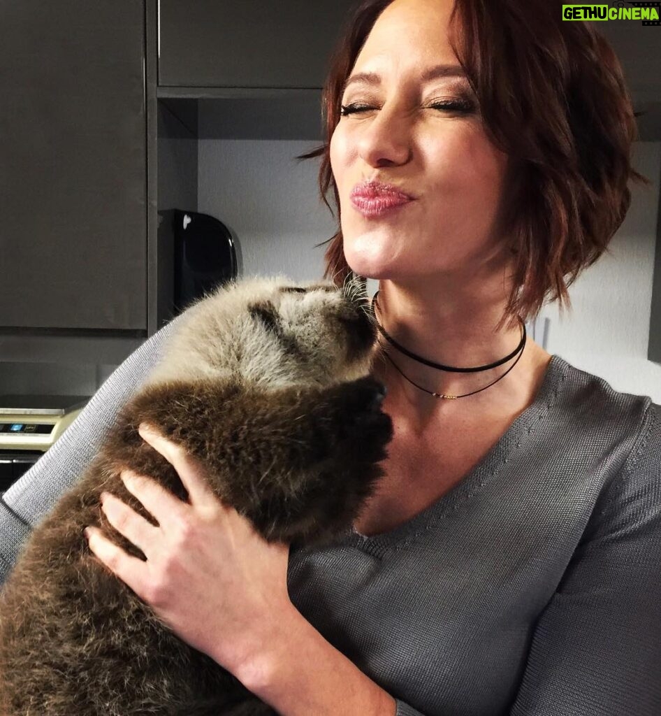 Chyler Leigh Instagram - #fbf 🐾 Yup, you'd make this face too if you got to hold a sweet, fluffy, squishy, ridiculously adorable baby otter. What can I say, he's a ladies man.... uh I mean... otter?? #supergirl #superbabyotter