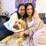 Cindy Sirinya Bishop Instagram - Together again with our Melbourne fam bam! We finally made it over to your side of the pond. All settled in, cozy and looking forward to making some lovely memories. ❤️ #melbourne #familytrip #buddy #labradoodle #homesweethome