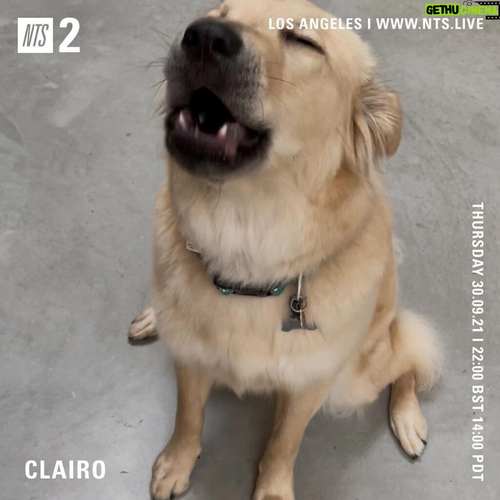 Clairo Instagram - @nts_radio tomorrow 2pm LA / 5pm EST / 10pm BST 🎤🦮🎶