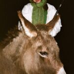 Clairo Instagram – i played flute for a donkey