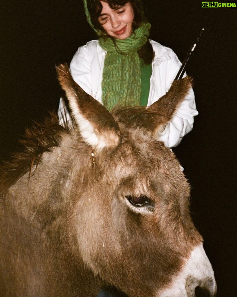 Clairo Instagram - i played flute for a donkey