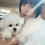Clara Lee Instagram - @baisookr