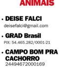 Claudia Ohana Instagram - Ajudem com o que puderem!!! Todos pelo Rio Grande do Sul 🙏✨