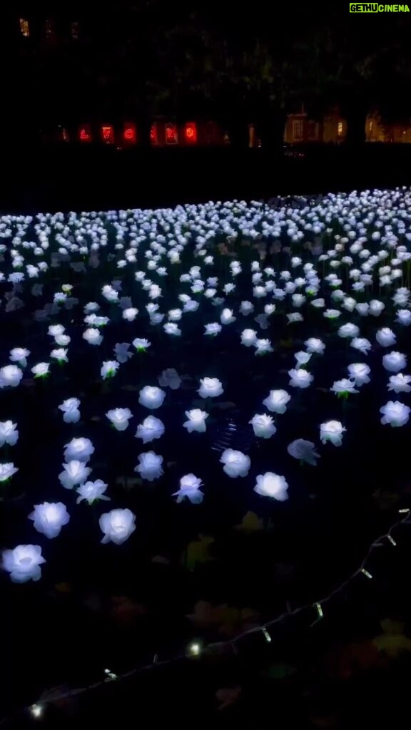 Claudia Winkleman Instagram - Repost @anyahindmarch Every year Grosvenor Square in London lights up with thousands of white illuminated roses. For £10, you can dedicate a rose with a personal message in memory of a loved one. It’s a place to reflect at Christmas in amongst all the festive cheer, and in doing so raise money for the incredible institution that is @RoyalMarsden. @everaftergarden